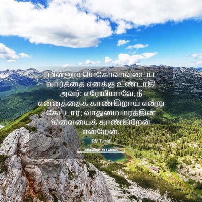 Picture 05 - எரேமியா 1:11 TAMIRV - பின்னும் - Bible Verse Picture