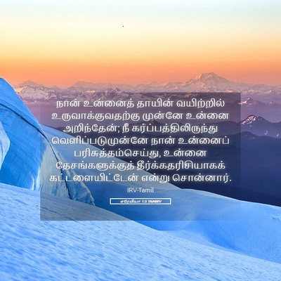 Picture 05 - எரேமியா 1:5 TAMIRV - நான் உன்னைத் - Bible Verse Picture