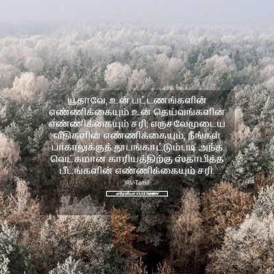 Picture 05 - எரேமியா 11:13 TAMIRV - யூதாவே, உன் - Bible Verse Picture
