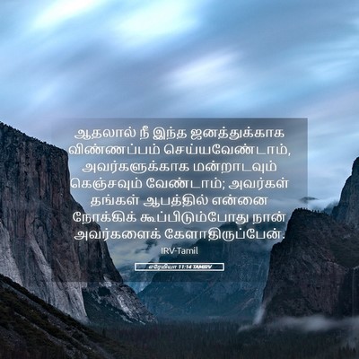 Picture 05 - எரேமியா 11:14 TAMIRV - ஆதலால் நீ இந்த - Bible Verse Picture