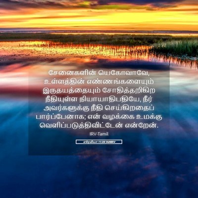 Picture 05 - எரேமியா 11:20 TAMIRV - சேனைகளின் - Bible Verse Picture