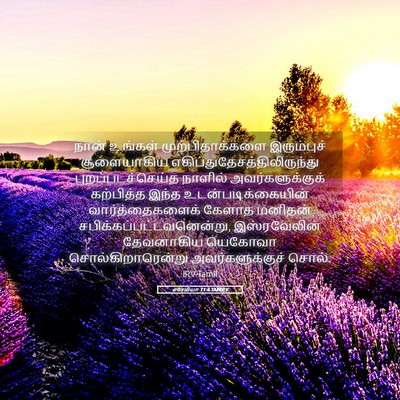 Picture 05 - எரேமியா 11:4 TAMIRV - நான் உங்கள் - Bible Verse Picture