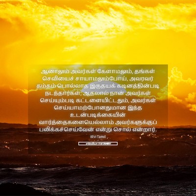 Picture 05 - எரேமியா 11:8 TAMIRV - ஆனாலும் அவர்கள் - Bible Verse Picture