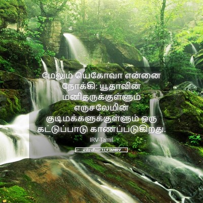 Picture 05 - எரேமியா 11:9 TAMIRV - மேலும் யெகோவா - Bible Verse Picture
