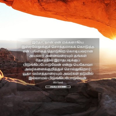 Picture 05 - எரேமியா 12:14 TAMIRV - இதோ, நான் என் - Bible Verse Picture