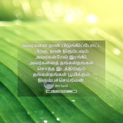 Picture 05 - எரேமியா 12:15 TAMIRV - அவர்களை நான் - Bible Verse Picture
