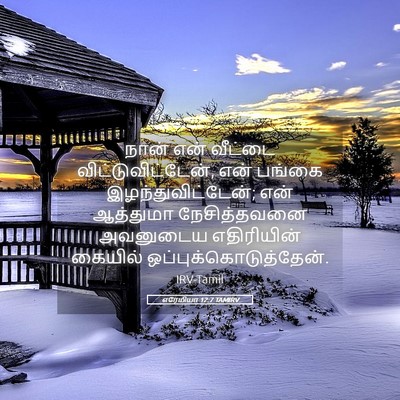 Picture 05 - எரேமியா 12:7 TAMIRV - நான் என் வீட்டை - Bible Verse Picture
