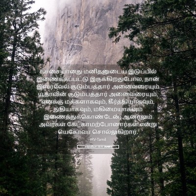 Picture 05 - எரேமியா 13:11 TAMIRV - கச்சையானது - Bible Verse Picture