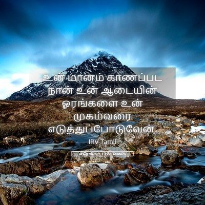Picture 05 - எரேமியா 13:26 TAMIRV - உன் மானம் காணப்பட - Bible Verse Picture