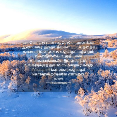 Picture 05 - எரேமியா 14:13 TAMIRV - அப்பொழுது நான்: ஆ - Bible Verse Picture