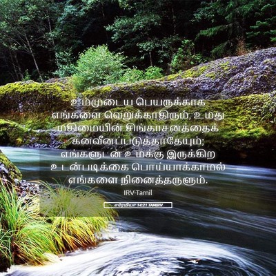 Picture 05 - எரேமியா 14:21 TAMIRV - உம்முடைய - Bible Verse Picture