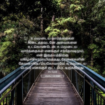 Picture 05 - எரேமியா 15:16 TAMIRV - உம்முடைய - Bible Verse Picture