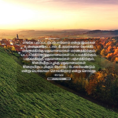 Picture 05 - எரேமியா 15:2 TAMIRV - எங்கே - Bible Verse Picture