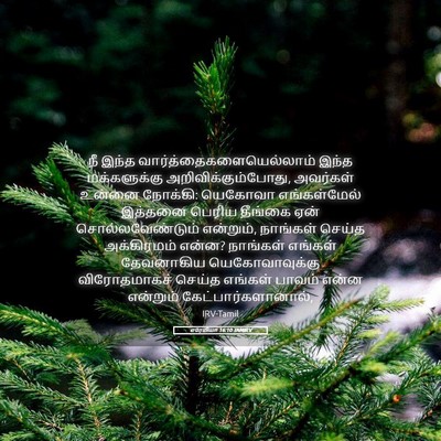 Picture 05 - எரேமியா 16:10 TAMIRV - நீ இந்த - Bible Verse Picture