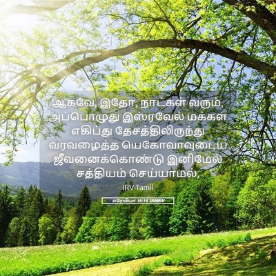Picture 05 - எரேமியா 16:14 TAMIRV - ஆகவே, இதோ, நாட்கள் - Bible Verse Picture