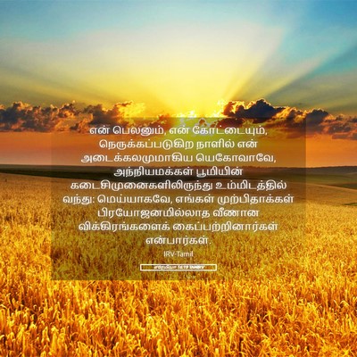 Picture 05 - எரேமியா 16:19 TAMIRV - என் பெலனும், என் - Bible Verse Picture
