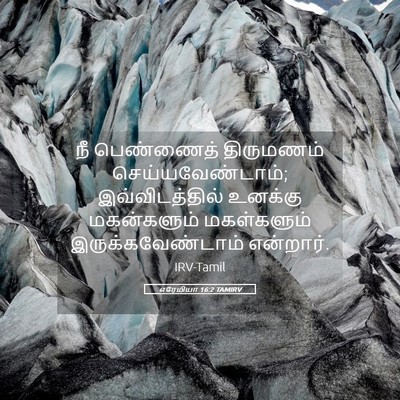Picture 05 - எரேமியா 16:2 TAMIRV - நீ பெண்ணைத் - Bible Verse Picture