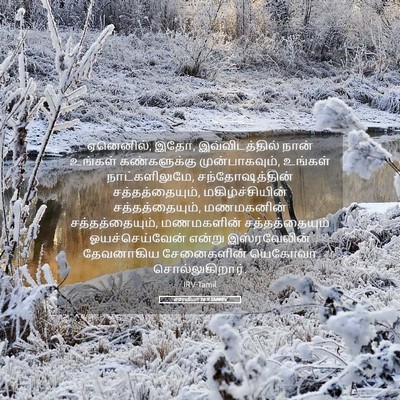 Picture 05 - எரேமியா 16:9 TAMIRV - ஏனெனில், இதோ, - Bible Verse Picture