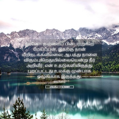 Picture 05 - எரேமியா 17:16 TAMIRV - நானோ உம்மைப் - Bible Verse Picture