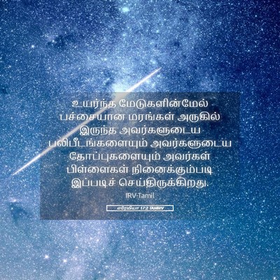 Picture 05 - எரேமியா 17:2 TAMIRV - உயர்ந்த - Bible Verse Picture