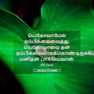 Picture 05 - எரேமியா 17:7 TAMIRV - யெகோவாமேல் - Bible Verse Picture