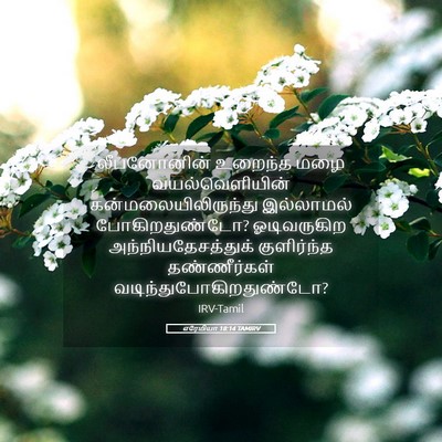 Picture 05 - எரேமியா 18:14 TAMIRV - லீபனோனின் உறைந்த - Bible Verse Picture