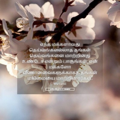 Picture 05 - எரேமியா 2:11 TAMIRV - எந்த மக்களாவது - Bible Verse Picture