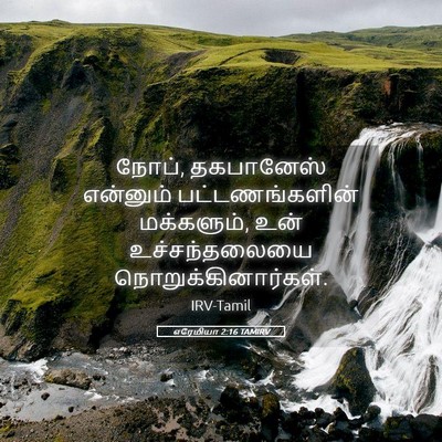 Picture 05 - எரேமியா 2:16 TAMIRV - நோப், தகபானேஸ் - Bible Verse Picture