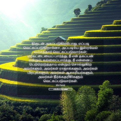 Picture 05 - எரேமியா 2:26 TAMIRV - திருடன் - Bible Verse Picture