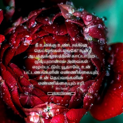 Picture 05 - எரேமியா 2:28 TAMIRV - நீ உனக்கு - Bible Verse Picture