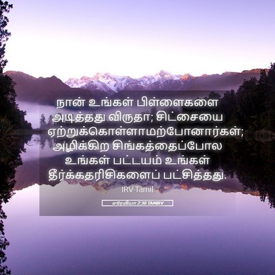 Picture 05 - எரேமியா 2:30 TAMIRV - நான் உங்கள் - Bible Verse Picture