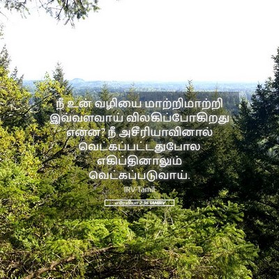 Picture 05 - எரேமியா 2:36 TAMIRV - நீ உன் வழியை - Bible Verse Picture