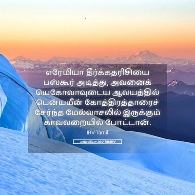 Picture 05 - எரேமியா 20:2 TAMIRV - எரேமியா - Bible Verse Picture
