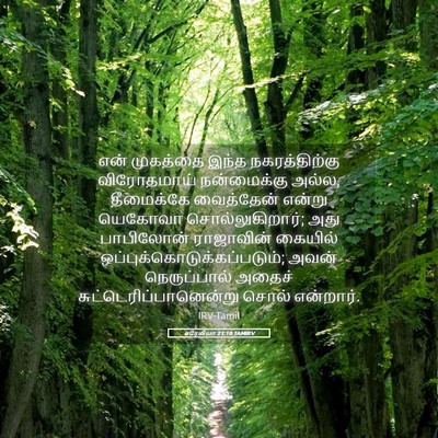Picture 05 - எரேமியா 21:10 TAMIRV - என் முகத்தை இந்த - Bible Verse Picture