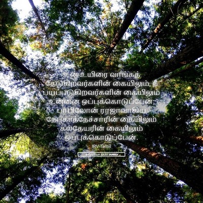 Picture 05 - எரேமியா 22:25 TAMIRV - உன் உயிரை வாங்கத் - Bible Verse Picture