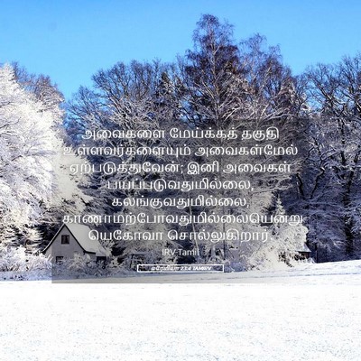 Picture 05 - எரேமியா 23:4 TAMIRV - அவைகளை மேய்க்கத் - Bible Verse Picture