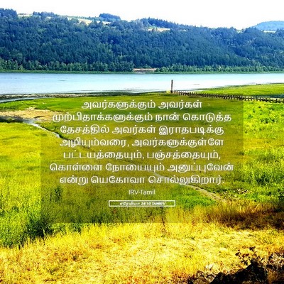 Picture 05 - எரேமியா 24:10 TAMIRV - அவர்களுக்கும் - Bible Verse Picture