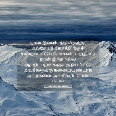 Picture 05 - எரேமியா 24:5 TAMIRV - நான் - Bible Verse Picture
