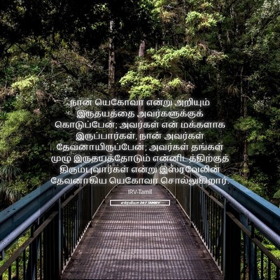 Picture 05 - எரேமியா 24:7 TAMIRV - நான் யெகோவா என்று - Bible Verse Picture