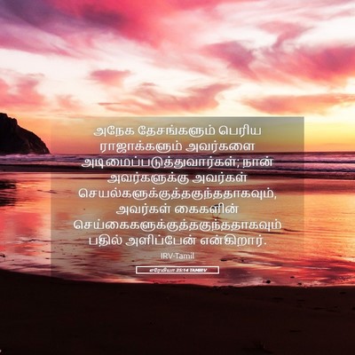 Picture 05 - எரேமியா 25:14 TAMIRV - அநேக தேசங்களும் - Bible Verse Picture