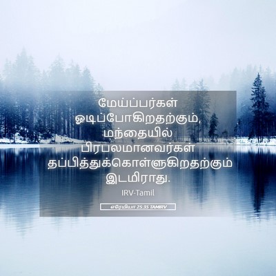 Picture 05 - எரேமியா 25:35 TAMIRV - மேய்ப்பர்கள் - Bible Verse Picture