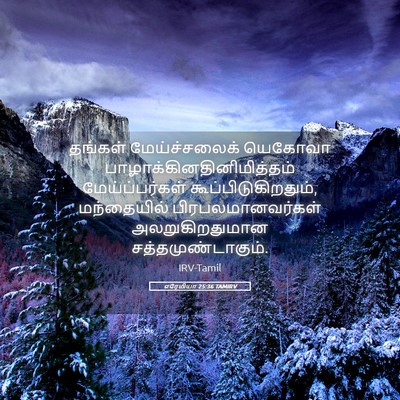 Picture 05 - எரேமியா 25:36 TAMIRV - தங்கள் - Bible Verse Picture
