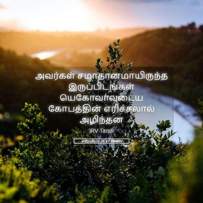 Picture 05 - எரேமியா 25:37 TAMIRV - அவர்கள் - Bible Verse Picture