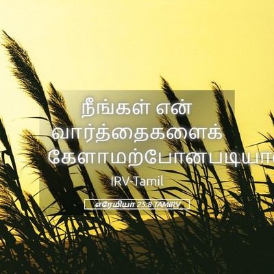 Picture 05 - எரேமியா 25:8 TAMIRV - நீங்கள் என் - Bible Verse Picture
