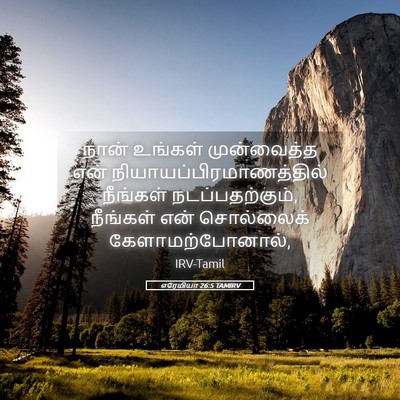 Picture 05 - எரேமியா 26:5 TAMIRV - நான் உங்கள் - Bible Verse Picture