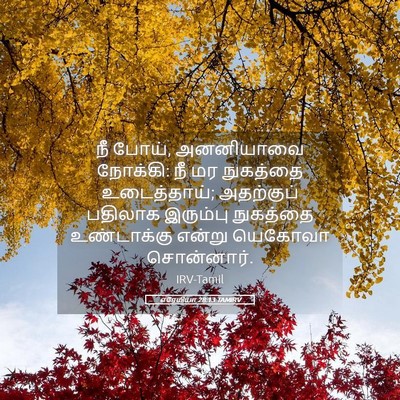 Picture 05 - எரேமியா 28:13 TAMIRV - நீ போய், அனனியாவை - Bible Verse Picture