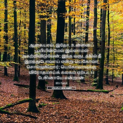 Picture 05 - எரேமியா 28:16 TAMIRV - ஆகையால், இதோ, - Bible Verse Picture