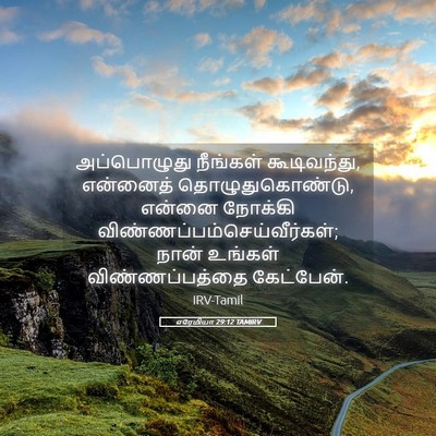 Picture 05 - எரேமியா 29:12 TAMIRV - அப்பொழுது நீங்கள் - Bible Verse Picture
