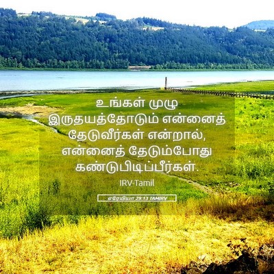 Picture 05 - எரேமியா 29:13 TAMIRV - உங்கள் முழு - Bible Verse Picture