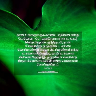 Picture 05 - எரேமியா 29:14 TAMIRV - நான் உங்களுக்குக் - Bible Verse Picture